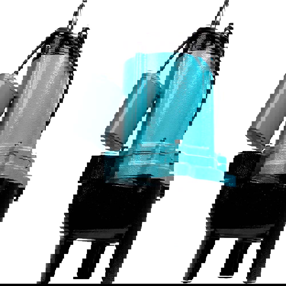 Manual Sewage & Effluent Pump: Piggyback Mechanical Float, 1/2 hp, 11.5A, 115V